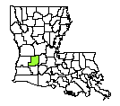 Map of Allen Parish