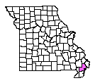 Map of New Madrid County, MO
