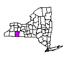 Map of Allegany County, NY