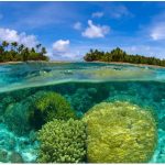 Best Travel Time and Climate for the Marshall Islands