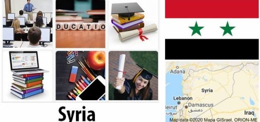 Syria Education
