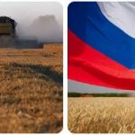 Russia Agriculture, Fishing and Forestry